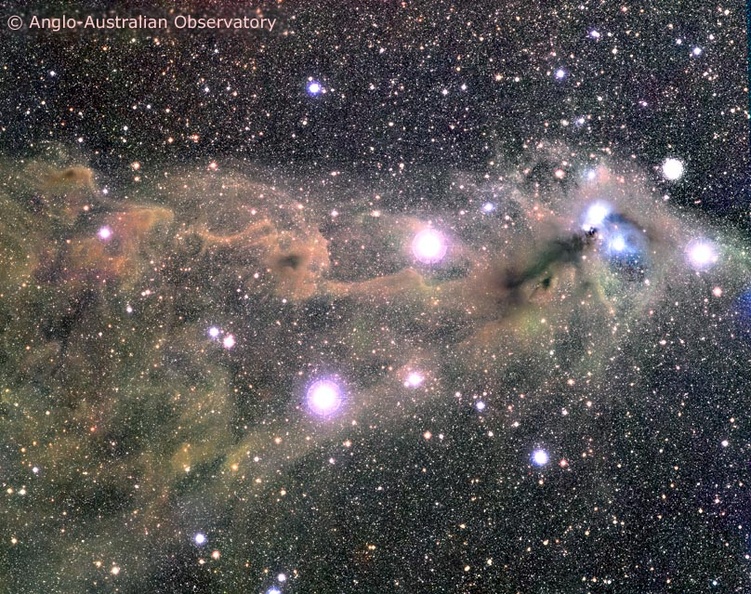 Star Clouds toward the Southern Crown